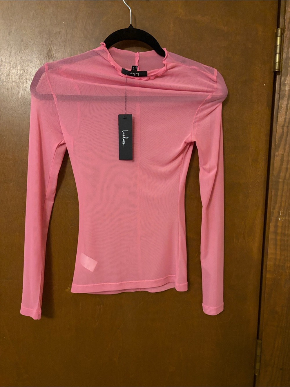 Lulu's Pink Sheer Long Sleeve Mesh Mock Neck Top